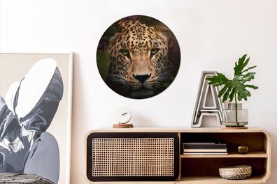 Runde Wandbilder - 60x60 cm - Tiere - Panther - Dschungel (Gr. 60x60 cm)