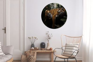 Runde Wandbilder - 90x90 cm - Tiere - Tiger - Dschungel (Gr. 90x90 cm)