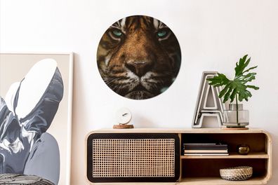 Runde Wandbilder - 60x60 cm - Tiere - Tiger - Wild (Gr. 60x60 cm)