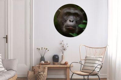 Runde Wandbilder - 90x90 cm - Tiere - Affe - Dschungel (Gr. 90x90 cm)