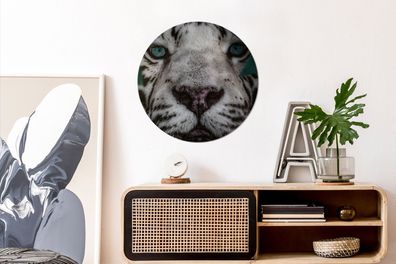 Runde Wandbilder - 60x60 cm - Dschungel - Tiger - Schwarz - Weiß (Gr. 60x60 cm)