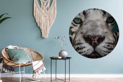 Runde Wandbilder - 140x140 cm - Dschungel - Tiger - Schwarz - Weiß (Gr. 140x140 cm)