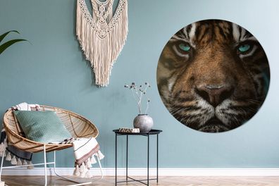 Runde Wandbilder - 120x120 cm - Dschungel - Tiger - Wilde Tiere (Gr. 120x120 cm)