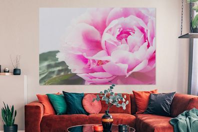 Leinwandbilder - 150x100 cm - Nahaufnahme einer rosa Pfingstrose mit Blättern
