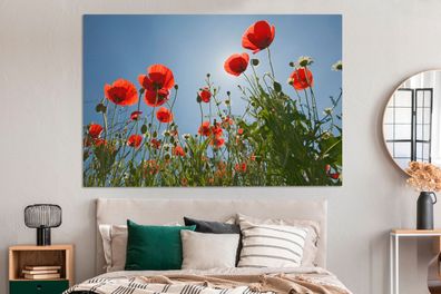 Leinwandbilder - 150x100 cm - Helle Sonne über einigen Mohnblumen in Spanien