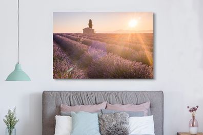Leinwandbilder - 150x100 cm - Die Sonnenstrahlen fallen auf Reihen eines Lavendelfeld