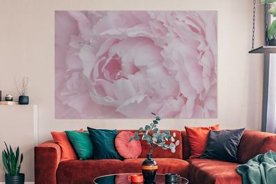 Leinwandbilder - 150x100 cm - Nahaufnahme und Draufsicht einer rosa Pfingstrose