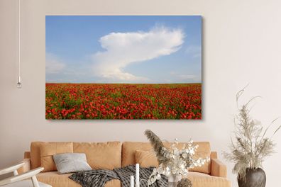 Leinwandbilder - 150x100 cm - Tausende von roten Mohnblumen in Frankreich