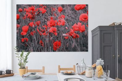 Leinwandbilder - 150x100 cm - Rote Mohnblumen in einem Schwarz-Weiß-Bild