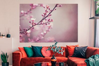 Leinwandbilder - 150x100 cm - Nahaufnahme der violetten Blüten einer Sakura
