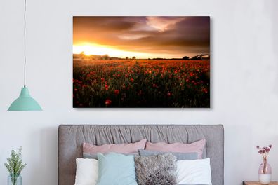 Leinwandbilder - 150x100 cm - Sonnenuntergang über den Mohnblumen in England