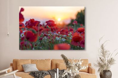 Leinwandbilder - 150x100 cm - Landschaft mit Mohnblumen am Morgen (Gr. 150x100 cm)