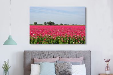 Leinwandbilder - 150x100 cm - Rosa Mohnblumen auf einem Feld (Gr. 150x100 cm)