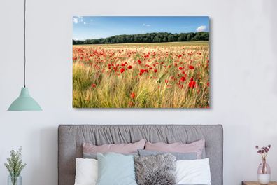 Leinwandbilder - 150x100 cm - Wilde Mohnblumen auf einem großen Feld (Gr. 150x100 cm)