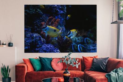 Leinwandbilder - 150x100 cm - Aquarienfische in einem Aquarium in Singapur.