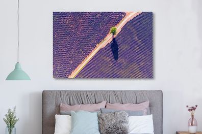 Leinwandbilder - 150x100 cm - Eine Luftaufnahme eines Lavendelfeldes in Frankreich