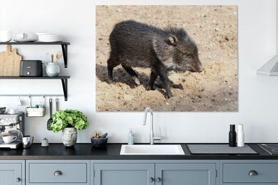 Leinwandbilder - 120x90 cm - Groß - Schwein - Wild (Gr. 120x90 cm)