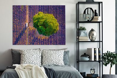 Leinwandbilder - 120x90 cm - Luftaufnahme eines großen Baumes in einem Lavendelfeld