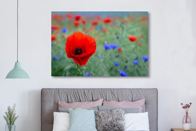 Leinwandbilder - 150x100 cm - Lila und rote Mohnblumen auf einer Wiese