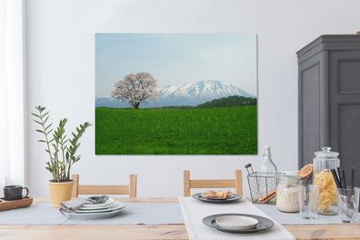 Leinwandbilder - 120x90 cm - Kirschblüte - Berg - Japan (Gr. 120x90 cm)