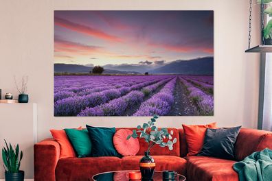 Leinwandbilder - 150x100 cm - Ein schönes Lavendelfeld bei Sonnenuntergang