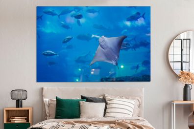 Leinwandbilder - 150x100 cm - Ein Aquarium in Dubai (Gr. 150x100 cm)