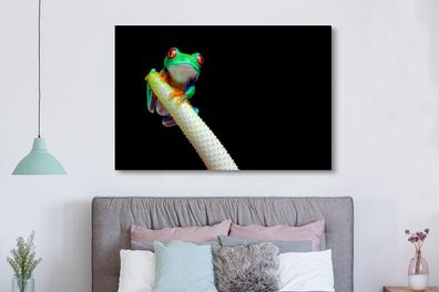 Leinwandbilder - 150x100 cm - Frosch - Tier - Pflanze (Gr. 150x100 cm)