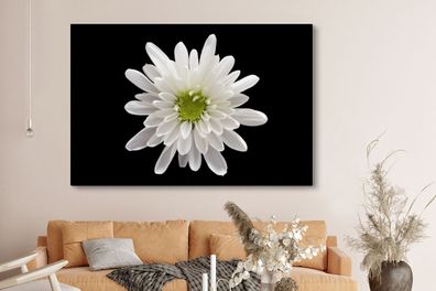 Leinwandbilder - 150x100 cm - Makro - Weiß - Blume (Gr. 150x100 cm)