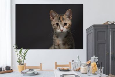 Leinwandbilder - 150x100 cm - Katze - Schwarz - Porträt (Gr. 150x100 cm)