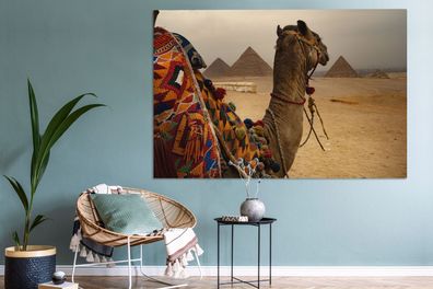 Leinwandbilder - 150x100 cm - Kamel auf Hügel (Gr. 150x100 cm)