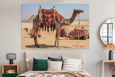 Leinwandbilder - 150x100 cm - Kamel bereit zur Abfahrt (Gr. 150x100 cm)