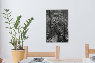 Leinwandbilder - 20x30 cm - Ozelot zwischen den Blättern des Dschungels in Costa Rica