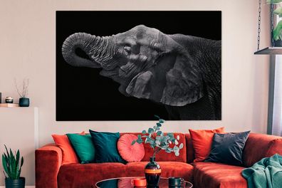 Leinwandbilder - 150x100 cm - Elefant mit Rüssel im Maul in Schwarz und Weiß