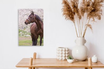 Leinwandbilder - 20x30 cm - Pferd - Sakura - Halfter (Gr. 20x30 cm)