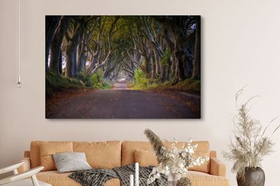 Leinwandbilder - 150x100 cm - Naturtunnel in Irland (Gr. 150x100 cm)