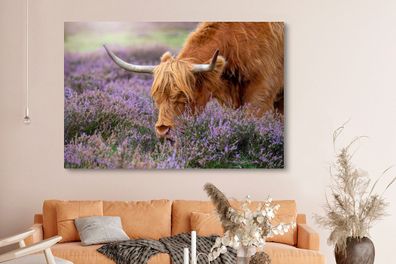 Leinwandbilder - 150x100 cm - Schottischer Highlander - Tiere - Heide