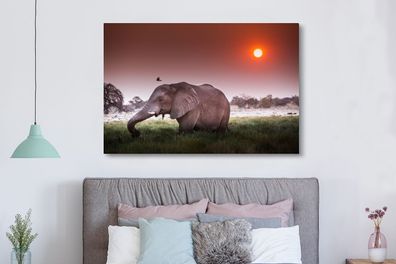 Leinwandbilder - 150x100 cm - Roter Sonnenuntergang über einem Elefanten im Gras