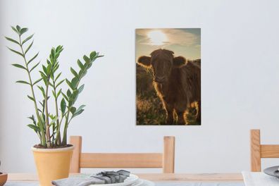 Leinwandbilder - 20x30 cm - Schottischer Highlander - Sonnenuntergang - Gras