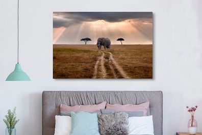 Leinwandbilder - 150x100 cm - Sonnenschein auf einem Elefanten in einem Naturschutzge
