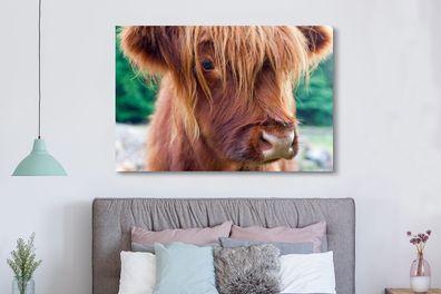 Leinwandbilder - 150x100 cm - Schottischer Highlander - Braun - Kalb (Gr. 150x100 cm)