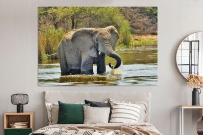 Leinwandbilder - 150x100 cm - Badender Elefant (Gr. 150x100 cm)