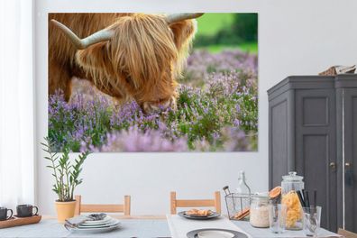 Leinwandbilder - 150x100 cm - Schottischer Highlander - Gras - Heidekraut - Tiere