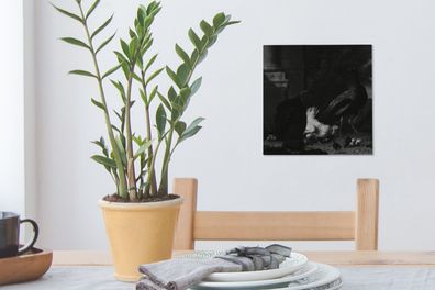 Leinwandbilder - 20x20 cm - Eine Henne mit Pfauen und einem Truthahn - Melchior d'Hon