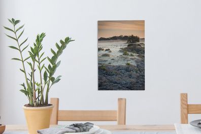 Leinwandbilder - 20x30 cm - Gefrorene Heidelandschaft in den Niederlanden