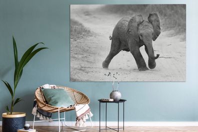 Leinwandbilder - 150x100 cm - Baby-Elefant zu Fuß in den Sand in schwarz und weiß