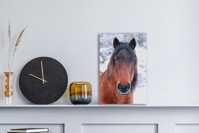 Leinwandbilder - 20x30 cm - Pferd - Winter - Schneeflocke (Gr. 20x30 cm)