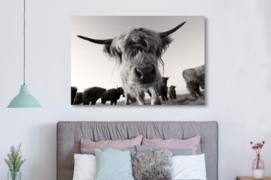 Leinwandbilder - 150x100 cm - Schottischer Highlander - Schwarz - Weiß - Tiere