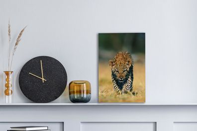 Leinwandbilder - 20x30 cm - Leopard - Makro - Gras (Gr. 20x30 cm)