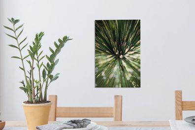 Leinwandbilder - 20x30 cm - Kaktus - Abstrakt - Pflanze (Gr. 20x30 cm)