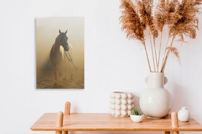 Leinwandbilder - 20x30 cm - Pferd - Licht - Sand (Gr. 20x30 cm)